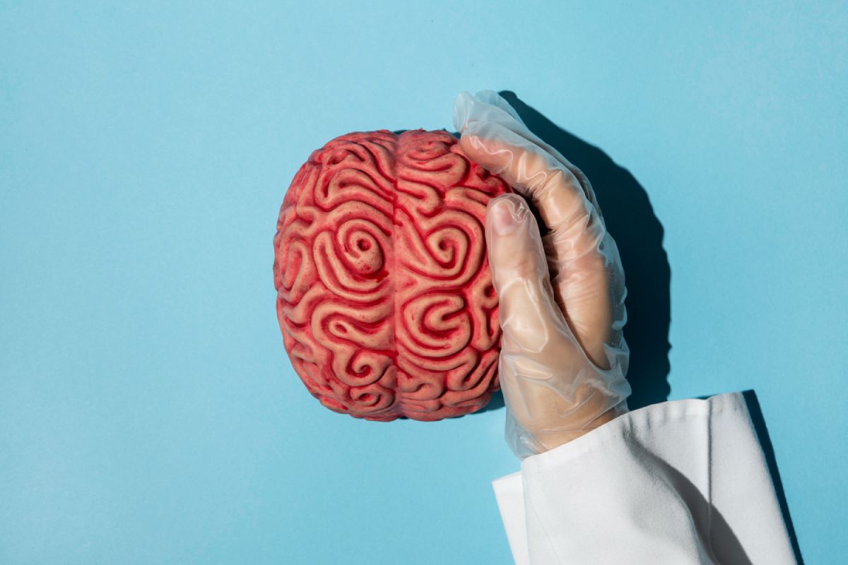 top view of a person holding a brain represent forensic psychology