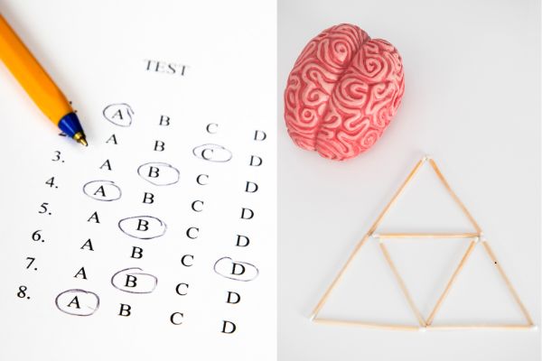 Two Main Parts of a Psychoeducational Assessment